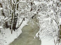 Poľovník vo februári